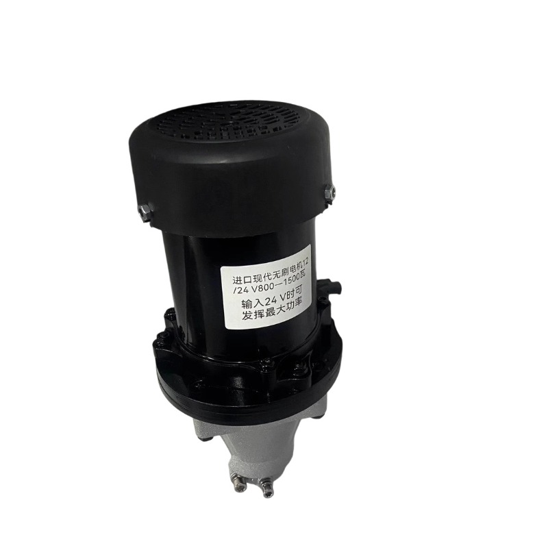 12-60V 500-1500W Brushless Out - Fishing Boat Outboard Motor incelemesi ve fiyatı